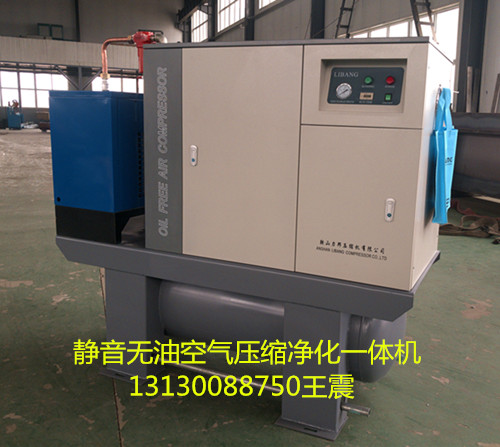 靜音無(wú)油空氣壓縮凈化一體機(jī)