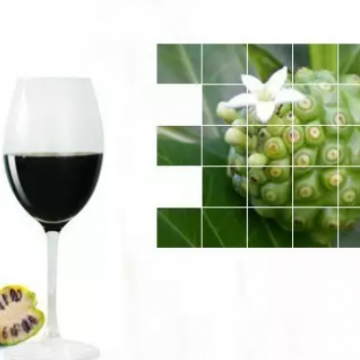 臺灣佳聯諾麗綜合酵素保健全能王全國招代理