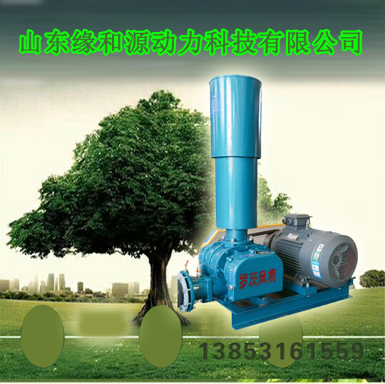 羅茨鼓風(fēng)機(jī)三葉羅茨鼓風(fēng)機(jī)污水羅茨風(fēng)機(jī)微孔曝氣增氧機(jī)
