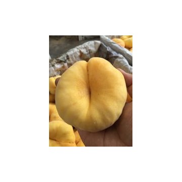 陜西紙袋黃油蟠油桃產(chǎn)地，紙袋黃金蟠油桃產(chǎn)地行情
