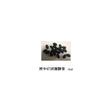 臺灣佳聯雨生紅球藻能提高人類生育能力享受美好生活