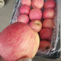 陜西冷庫(kù)紅富士蘋(píng)果價(jià)格，冷庫(kù)紙袋紅富士蘋(píng)果產(chǎn)地行情