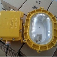 BFC泛光燈， DGC支架燈