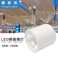 機(jī)場(chǎng)候車室工程照明免開(kāi)孔LED明裝筒燈80W100W