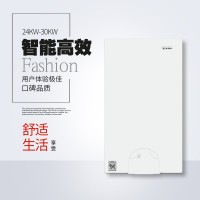 德國庫恩整機進口壁GUA爐/雷博lebo系列/性能**/板換換熱