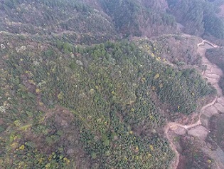 湖州茶園加盟，浙江茶山加盟，湖州轉(zhuǎn)運(yùn)珍茶